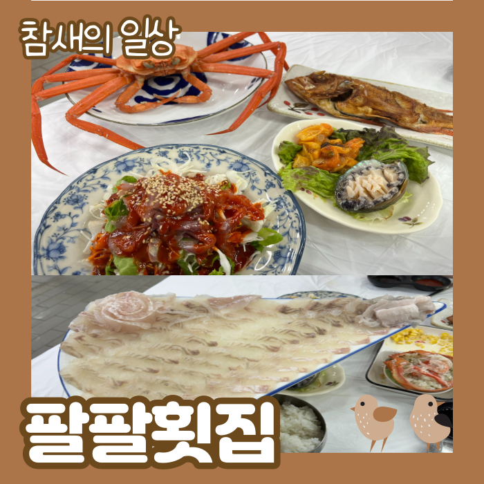  주문진항, 주문진회센터 '팔팔횟집' 서비스 많이 주는 곳!
