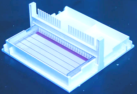  [실험정보] agarose gel electrophoresis (DNA 전기영동)