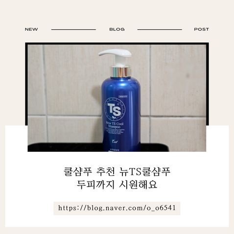 쿨샴푸 추천 뉴TS쿨샴푸 두피까지 시원해요