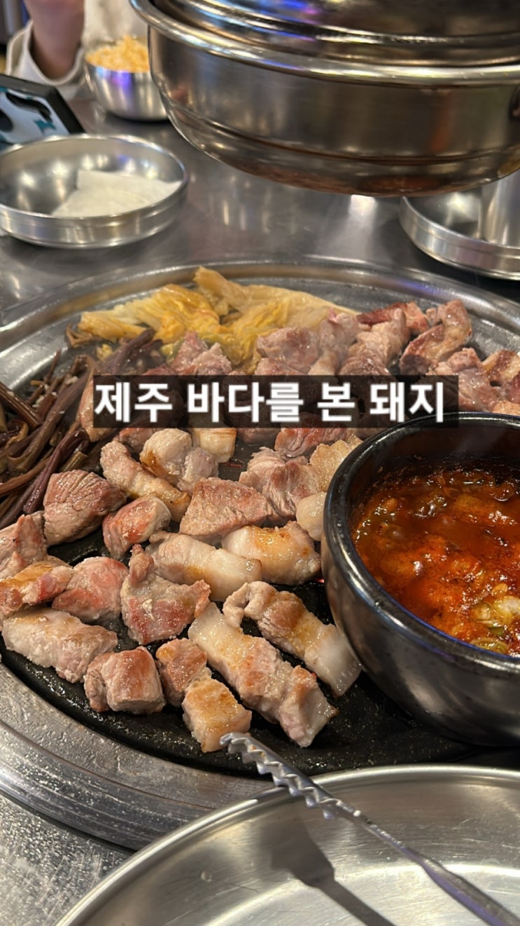  제주 흑돼지 맛집 ! 바다를 본 돼지 제주공항점 노형점 아기의자 있음
