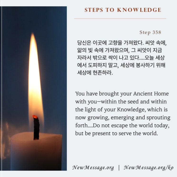 제 358 계단: 나는 세상에서 고향에 있기를 바란다 I wish to be at home in the world. 제 358 계단: 나는 세상에서 고향에 있기를 바란다 I wish to be at home in the world.