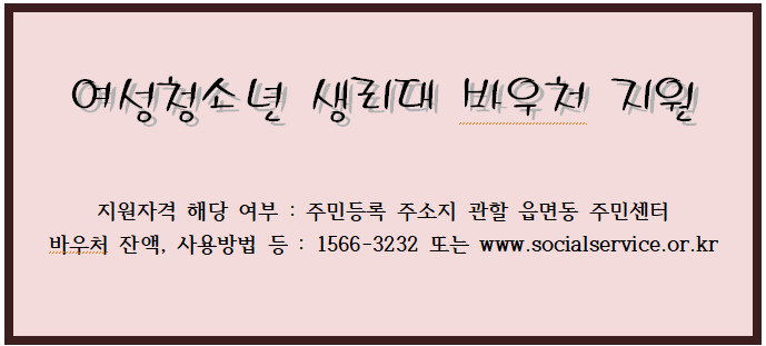 여성청소년 생리대 바우처 지원 여성청소년 생리대 바우처 지원