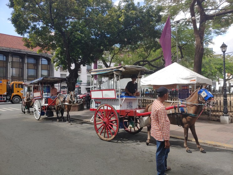 필리핀 마닐라여행 (올드마닐라 시티투어 : 인트라무로스 4탄 (인트라무로스 카레사마차투어)