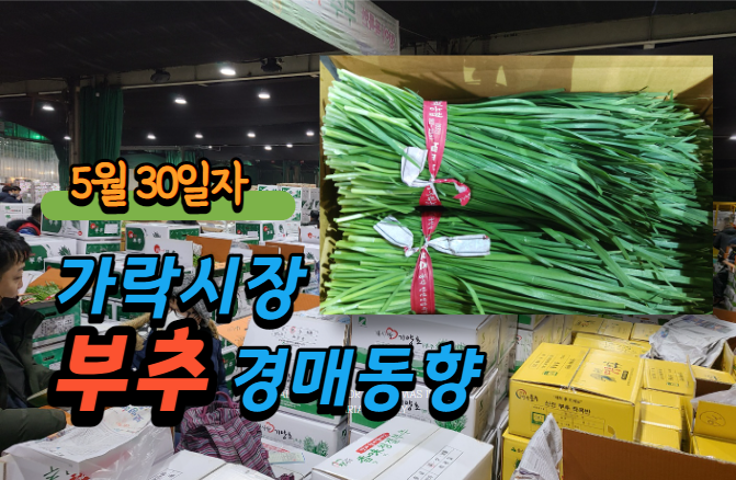  [경매사 일일보고] 5월 30일자 가락시장 부추 경매동향을 살펴보겠습니다!