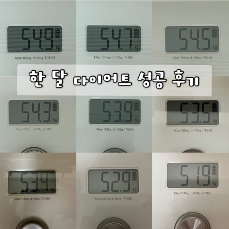 닭가슴살 다이어트 식단 / 5월 한달 감량 후기