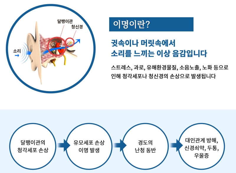 이명, 이명의 증상 _ 이목한의원