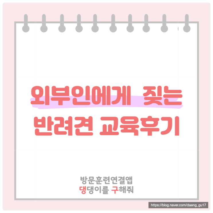  외부인 방문 짖음, 손님 경계 사회화 방문훈련 후기 (경기도 안양)