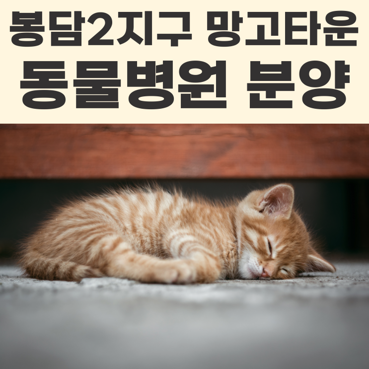 봉담2지구 망고타운 동물병원 분양