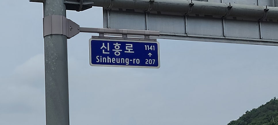 입양산 사진 1