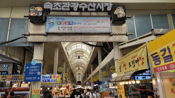  [속초여행 5편] 속초 중앙시장 - 오징어순대, 술빵, 감자전 등 먹거리 정보!
