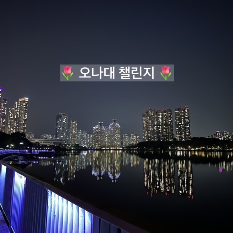  [오나대 챌린지] 나의 다이어트를 돌아보며, 오늘도 나를 대접합니다