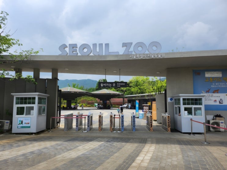 [경기도/과천시] 서울대공원 동물원 (2)