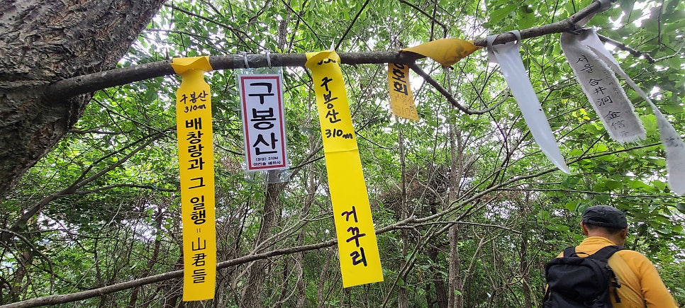 입양산 사진 4
