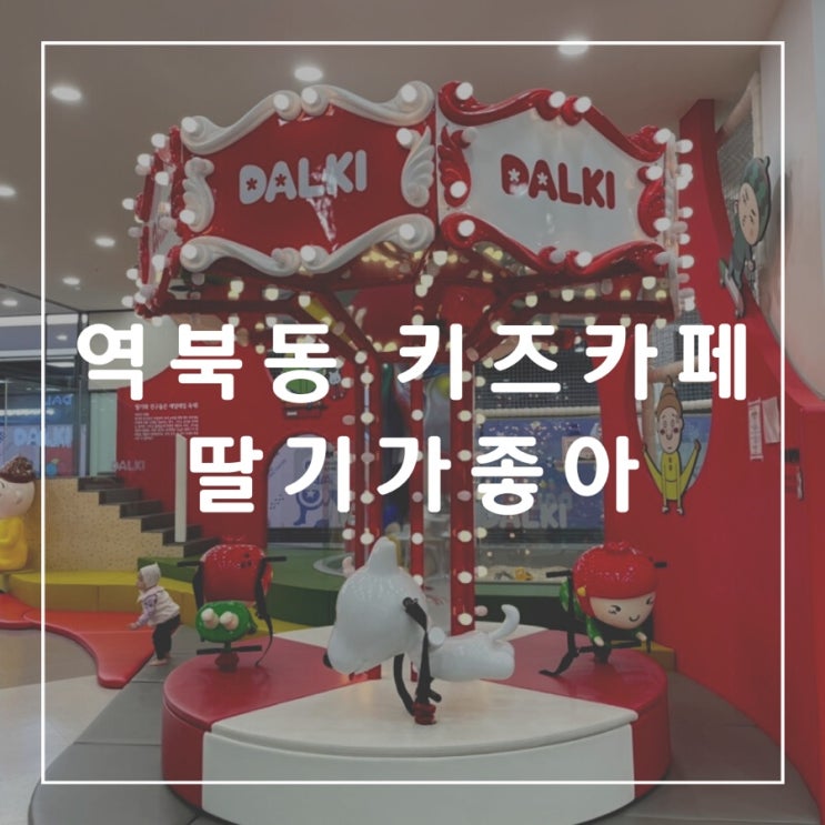  [경기도 용인] 딸기가좋아 용인점, 처인구 키즈카페, 역북동 키즈카페