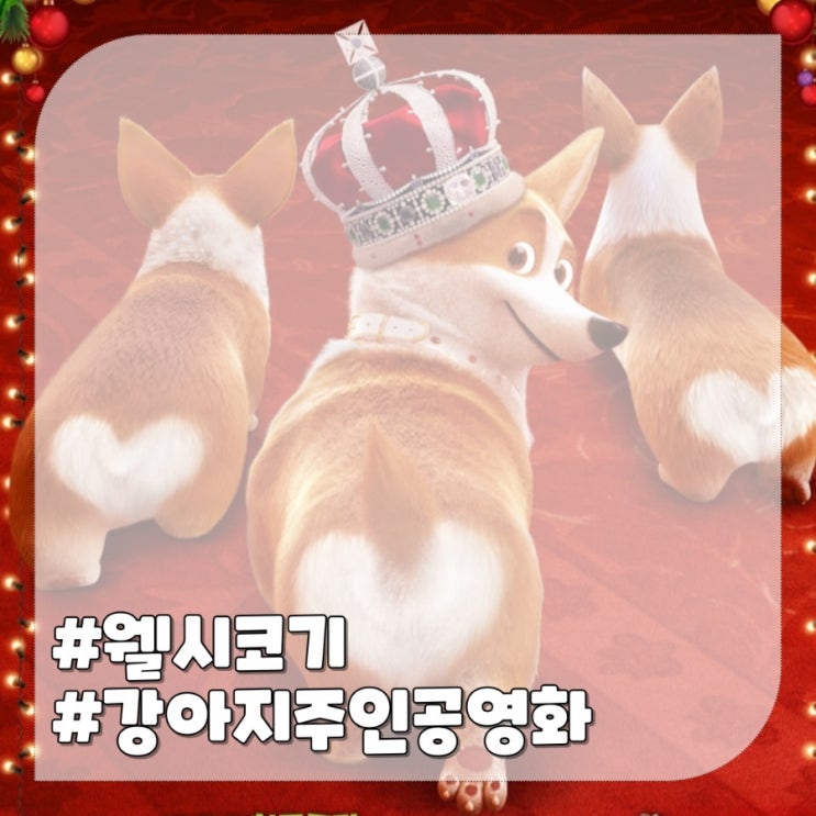 강아지 만화영화 프린스 코기,주인공 웰시코기 기본정보