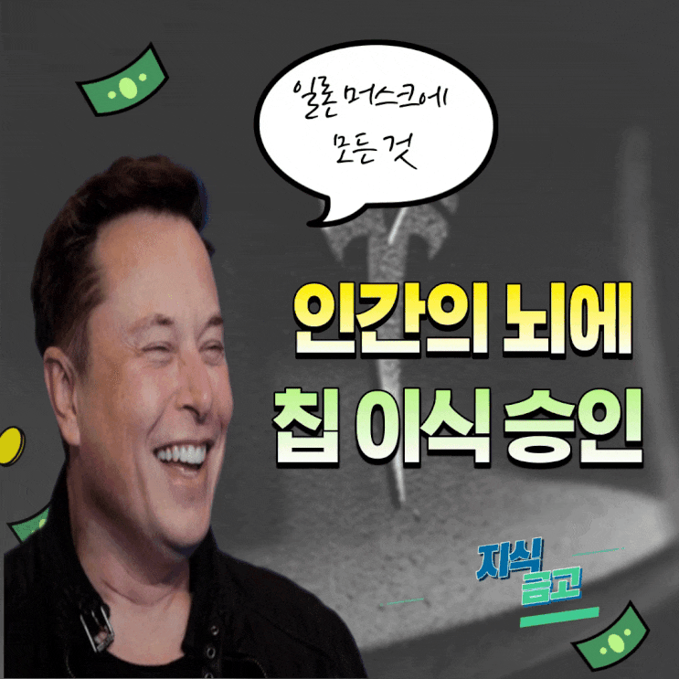  인간 뇌 칩 이식 FDA 승인 일론 머스크의 재산 자녀 다이어트 이야기