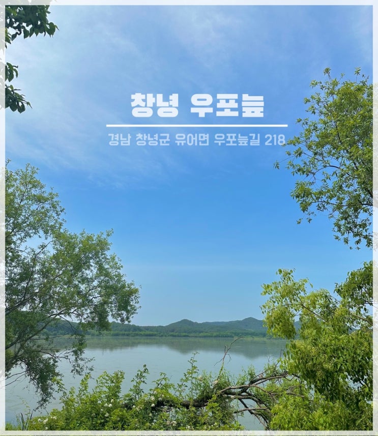  경남 가볼 만한 곳 창녕 우포늪 여행 정보 및 자전거 대여
