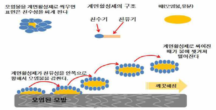  샴푸의 성분과 원리, 용도, 특징, 두피에 따른 선택방법