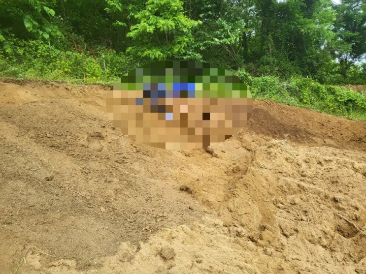  2023년 김천시 부항면 가족묘 설치및 잔디조성 고인돌장묘개발장의사