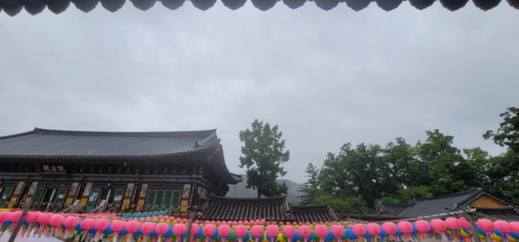  부처님 오신 날 봉선사에서