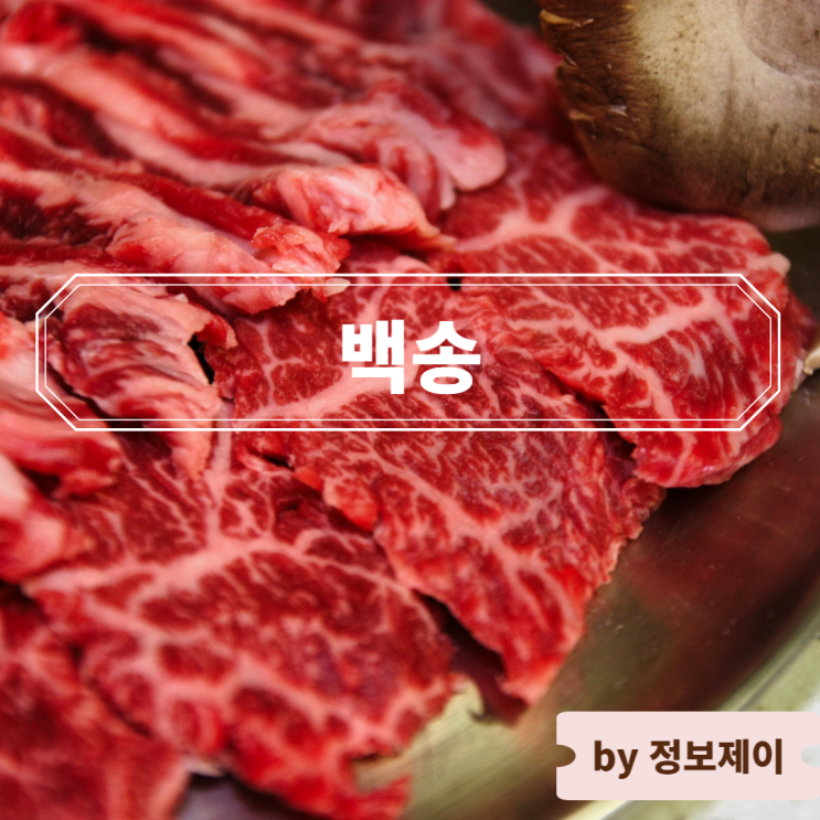  서울 신당동 맛집 허영만 백반기행 방영 한우구이 백송