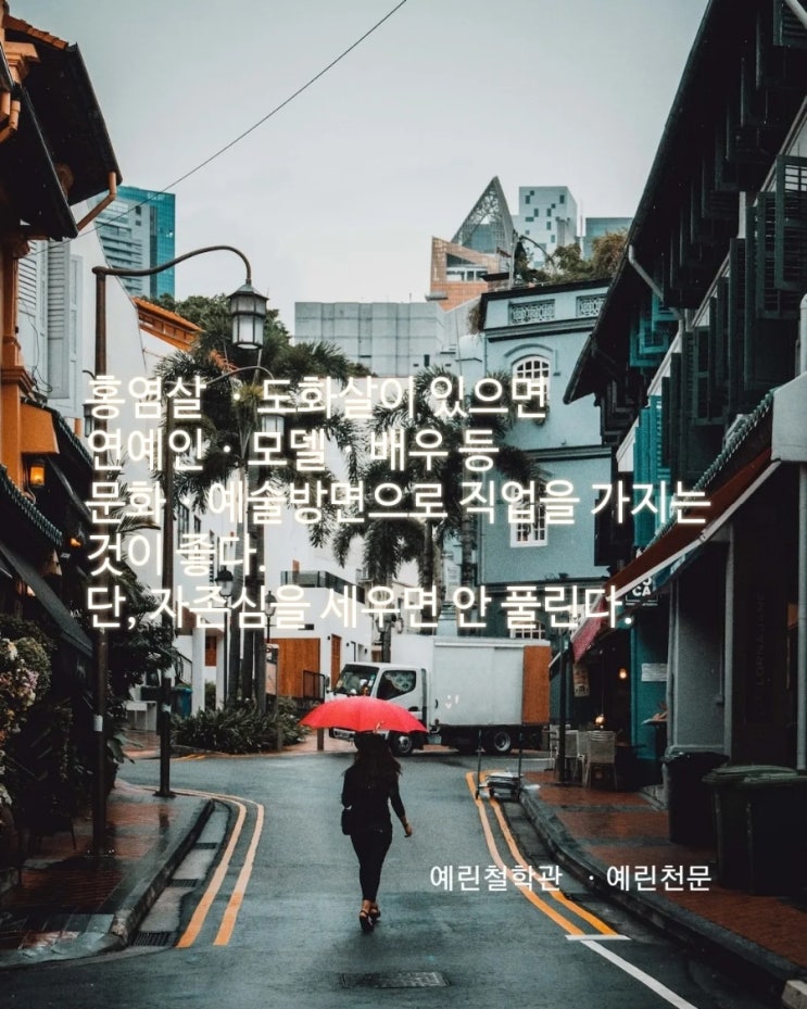 연예인 사주(도화살의 묘미)