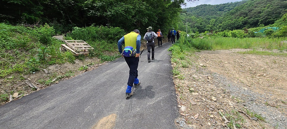 입양산 사진 2