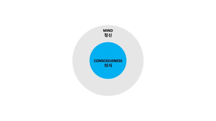  정신의 구조