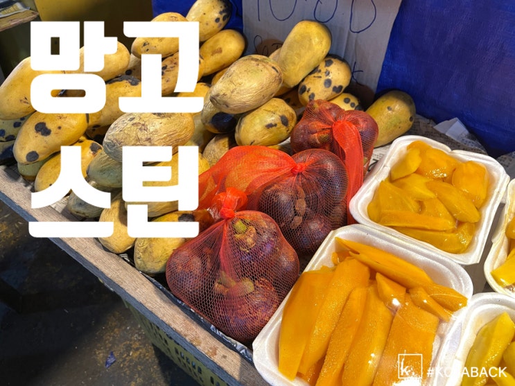  최근 코타키나발루 야시장 과일 가격ㅣ망고스틴 망고
