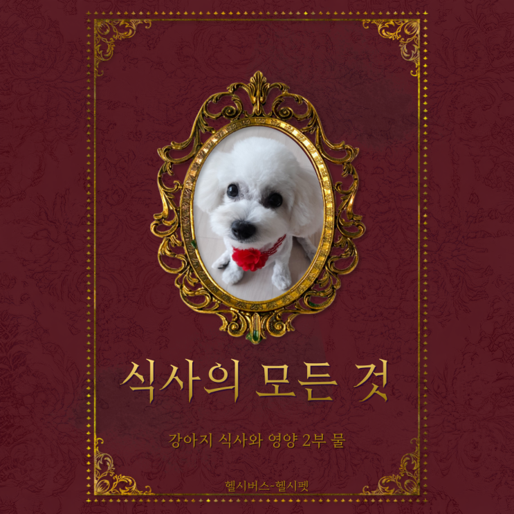  운동하는 강아지 헬시펫 - 식사와 영양관리2편 물