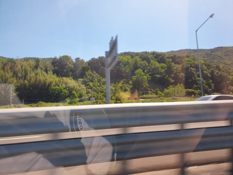  부동산 집값 반등? 단기적인 현상일 수도 있다.
