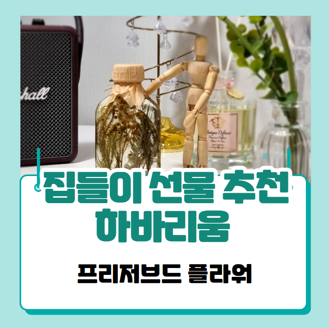 집들이선물추천 - 하바리움 프리저브드플라워