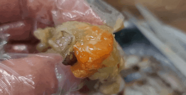  여수에서 맛본 간장게장보다 더 맛있는 간장게장 맛집, 밑반찬까지 맛있는 주안역 여수게장