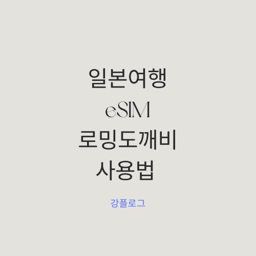 일본 여행 아이폰 eSIM 개통 로밍도깨비 사용법 (feat. 갤럭시)