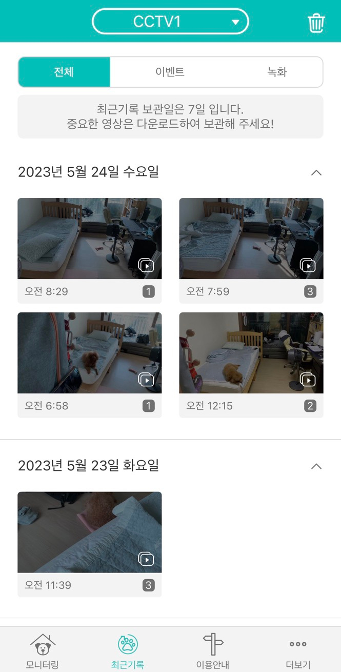  [펫캠] 공기계로 펫cctv 사용 가능한 헬로코코 앱 후기