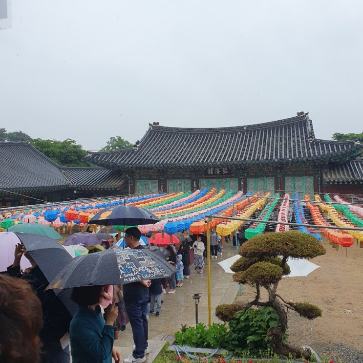  [경기 화성시] 부처님 오신 날 용주사에서 절 밥 먹기