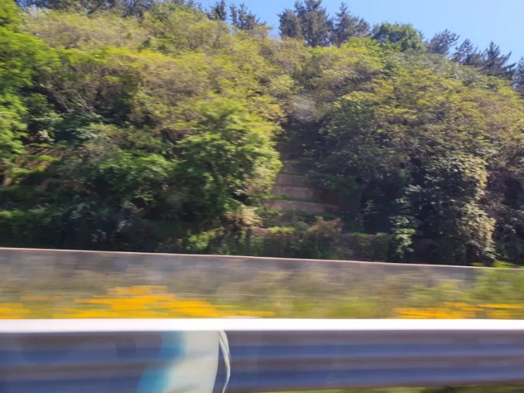  서울 집값과 거품, 잠시적인 반등과 장기적인 전망