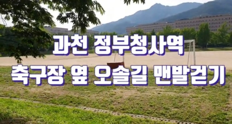  과천 맨발걷기 좋은 장소 과천정부청사역 근처 축구장 오솔길