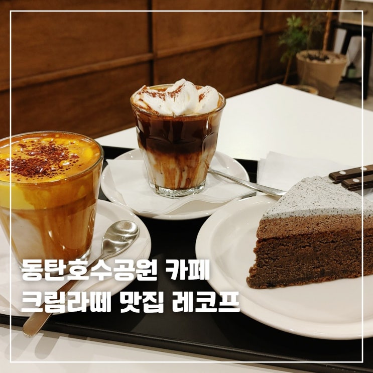  동탄호수공원 반려동물 애견동반카페 레코프 콘크림라떼
