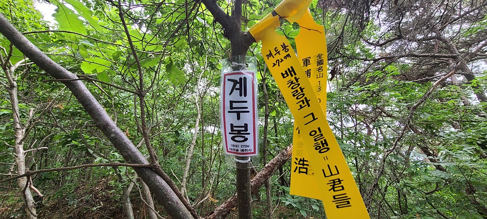 입양산 사진 3