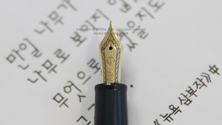  나무가 나무로 보이지 않았다면 (세일러 14K MF닙 만년필로 필사하기)