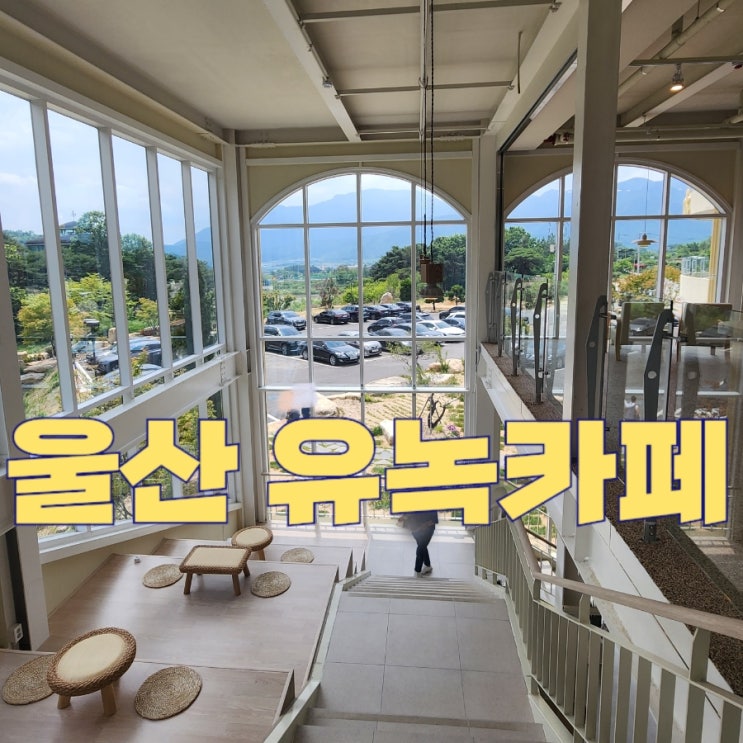  울산 카페 : 유녹