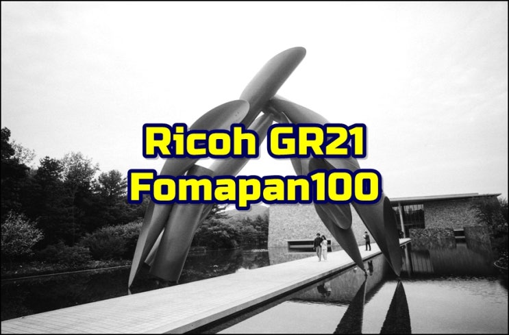  리코 GR21  포마팬100  유효기간 지난 필름인데 멀쩡하게 잘나오네 (뮤지엄 산)