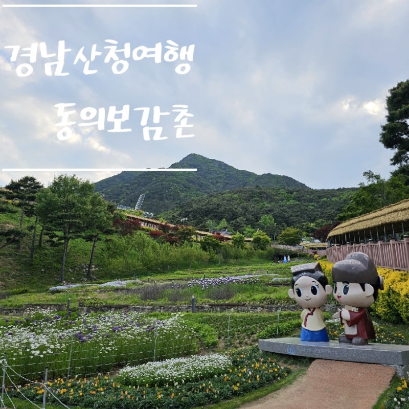 사진 4