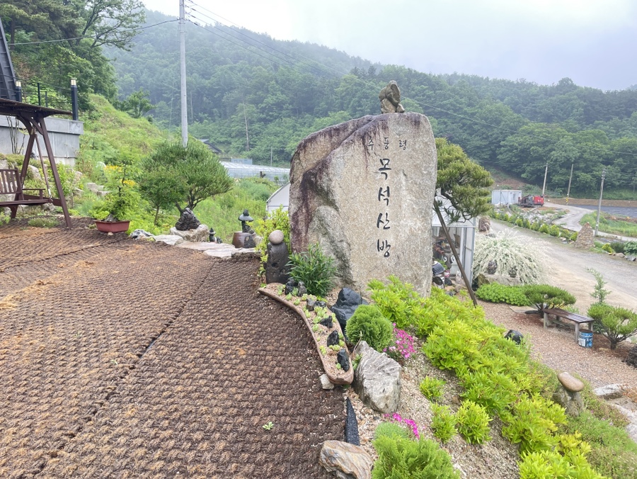 추풍령해물탕 사진 6
