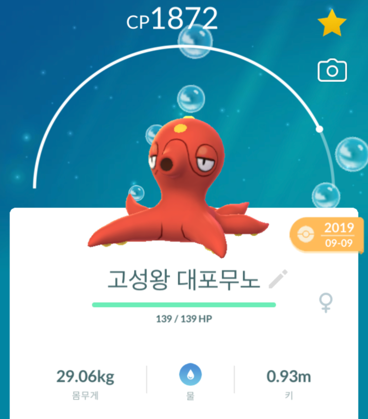  [강원도 고성 당일치기] 고물가 시대 대왕 문어 잡아먹기