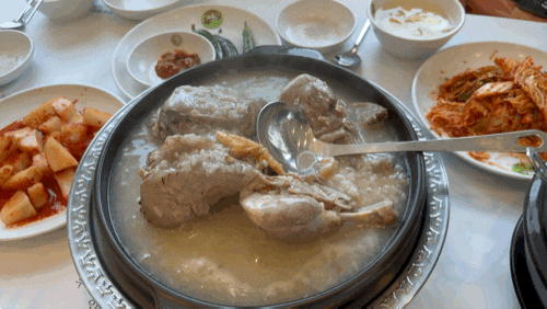  안양가족모임장소 본가장수촌 평촌점|오리백숙 맛집