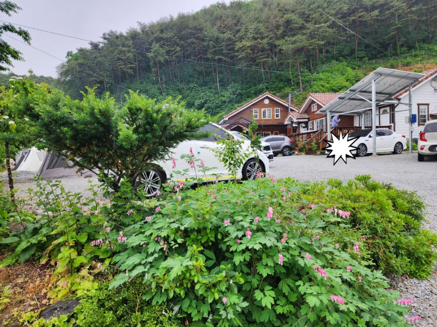 힐링스토리펜션야영장 사진 2