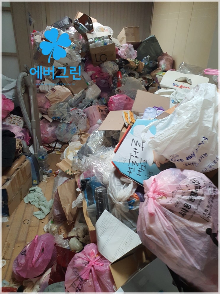  일산 장항동 특수청소업 쓰레기집청소 전문업체 비용 가격