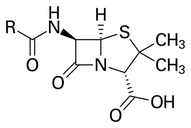  항생제의 두 종류? 정균성 항생제와 살균성 항생제 bacteriostatic and bacteriocidal